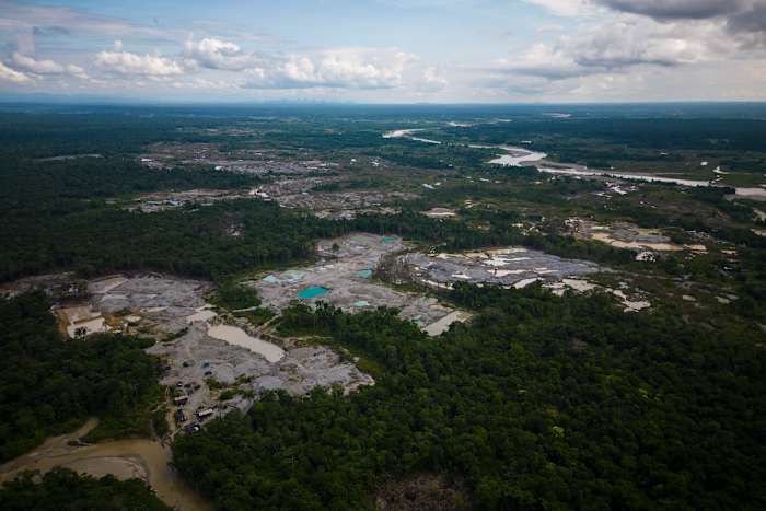 Colombia reports 33% drop in deforestation in early 2025, with major progress in Amazon parks