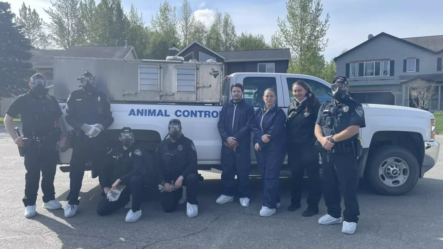 Anchorage woman faces 73 counts of animal neglect involving dozens of dogs