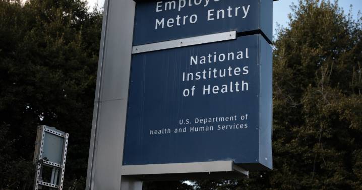 NIH scientists call on director to protect biomedical research