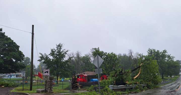 Gusty storm downs trees, causes local damage