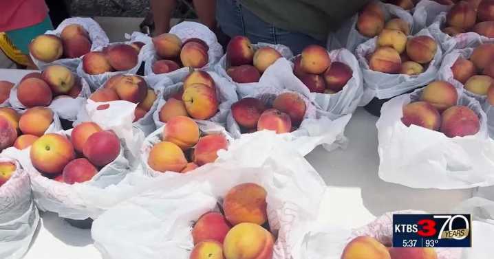 Downtown Ruston welcomed visitors to the 75th Louisiana Peach Festival