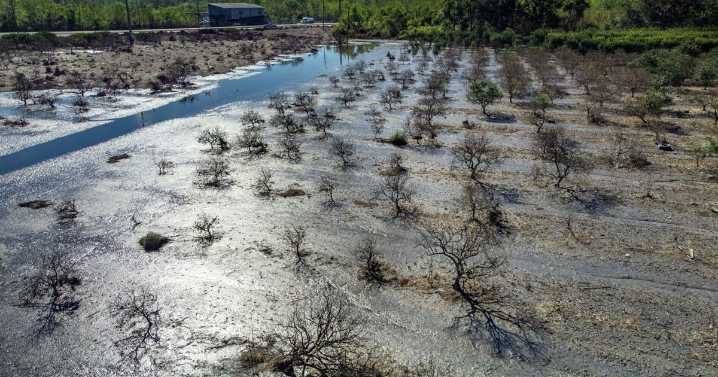 Gulf coast a 'hotspot' for rising storm surge, study finds