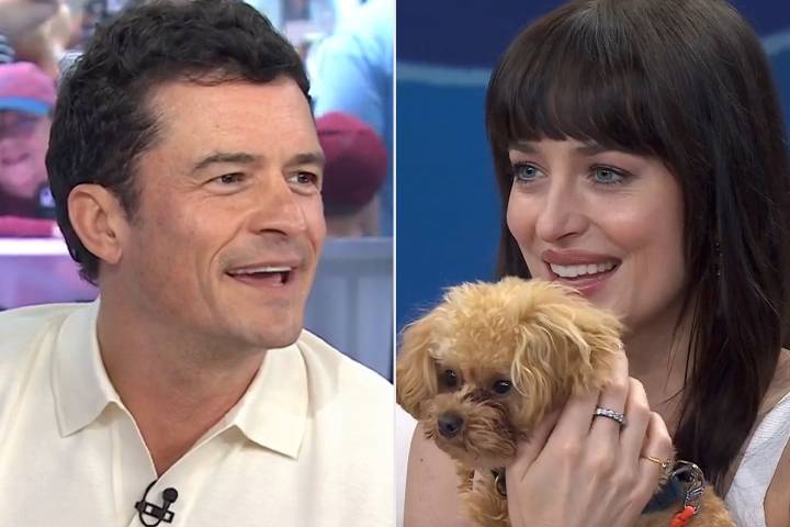 Orlando Bloom’s Tiny Dog Interrupts Actor's TV Interview, Steals the Show