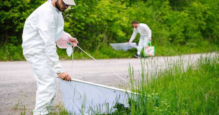 Tick season: Are numbers of bloodsucking bugs increasing in Niagara?