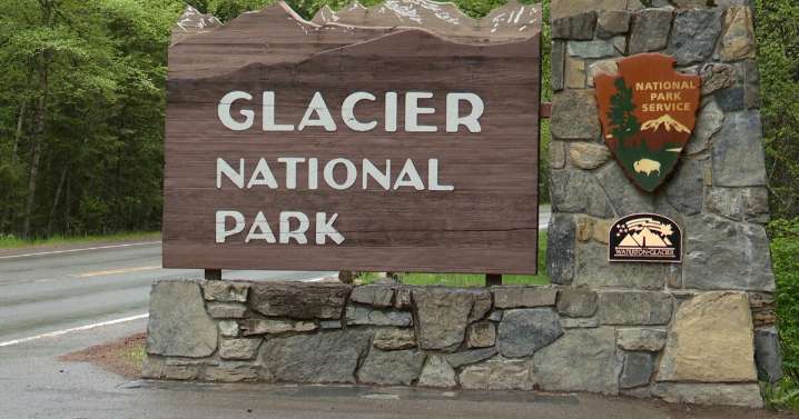 Two black bears involved in separate food-related conflicts in Glacier Park