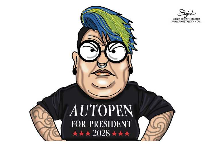 CARTOONS: Who Democrat voters want to nominate in 2028