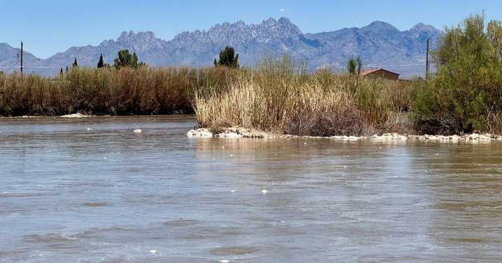 Dry most of the year, the lower Rio Grande flows for irrigation season