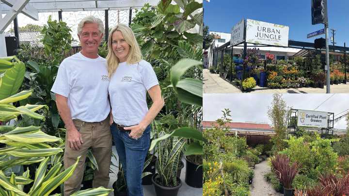 A Season of Gratitude: After One Year in Business, Urban Jungle Continues Making its Mark