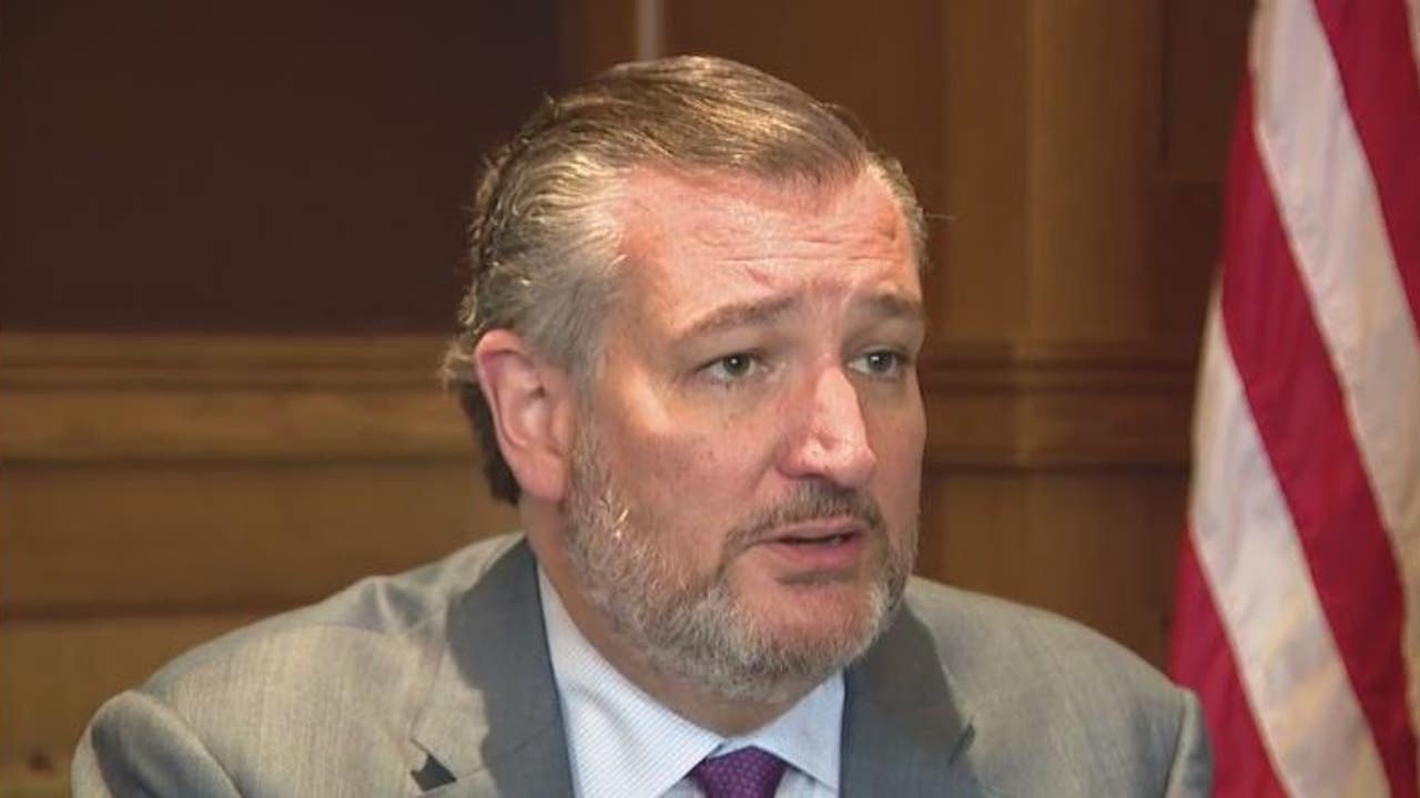 Trump-Musk feud: Ted Cruz says pair should 'kiss and make up'