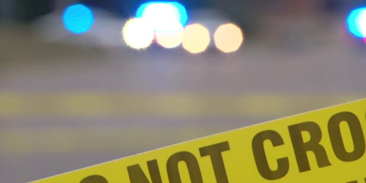 Man critically injured in shooting on Mud Island