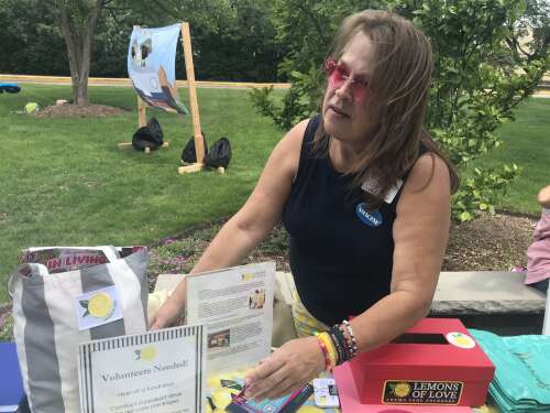 Cancer survivors share their journeys at Northwest Community Hospital celebration