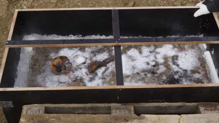 Bizarre 1,350-year-old burial of blue-eyed 'Ice Prince' uncovered alongside dismembered sacrifice and treasure