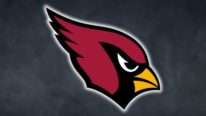 Canfield baseball bows out in regional final
