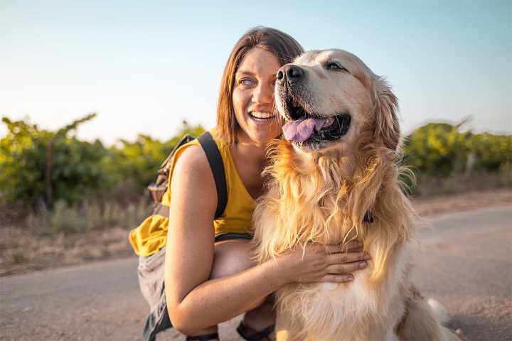 13 Loving Dog Breeds With Big Emotional Energy