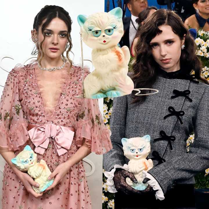 Is This $5,000 Valentino Cat Bag the New Pigeon Bag?