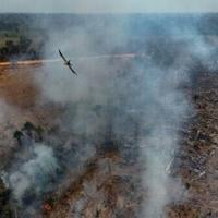 Brazil fires drive acceleration in Amazon deforestation: report