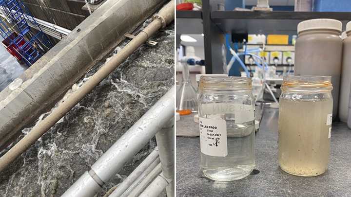 The Nitty and Very Gritty of Wastewater Disease Monitoring