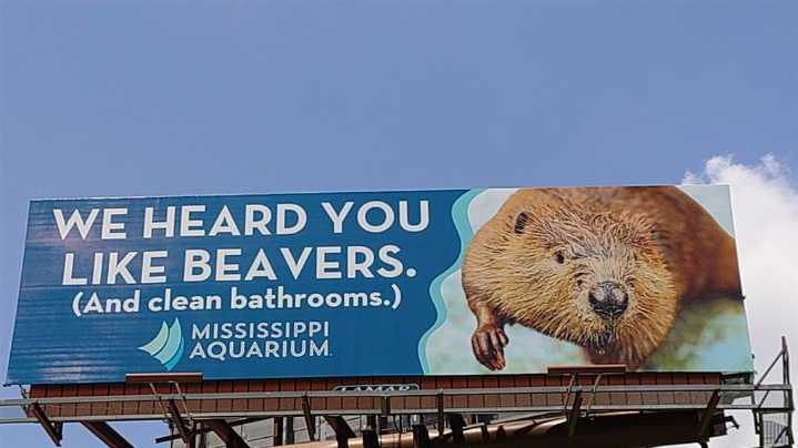 How Mississippi Aquarium billboards make playful nod to Buc