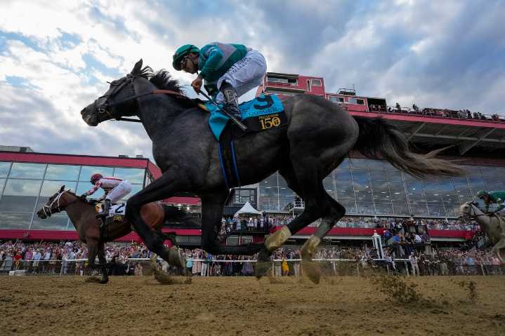 As one trainer beats a dead horse, Belmont could turn into a grudge match