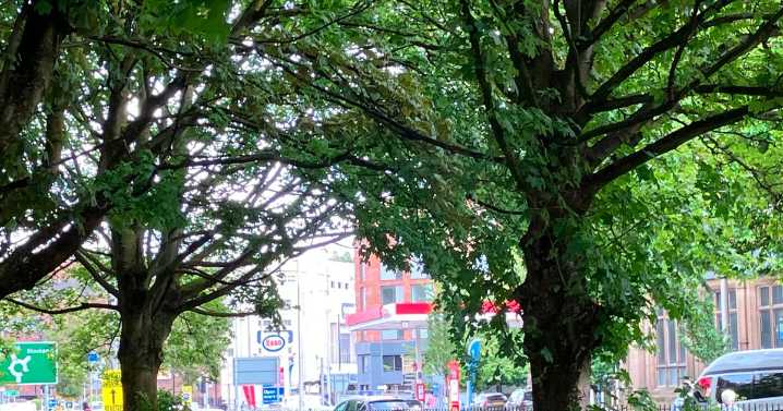 ‘All the makings of a really nice area’ - inside the park once ‘plagued’ by drugs