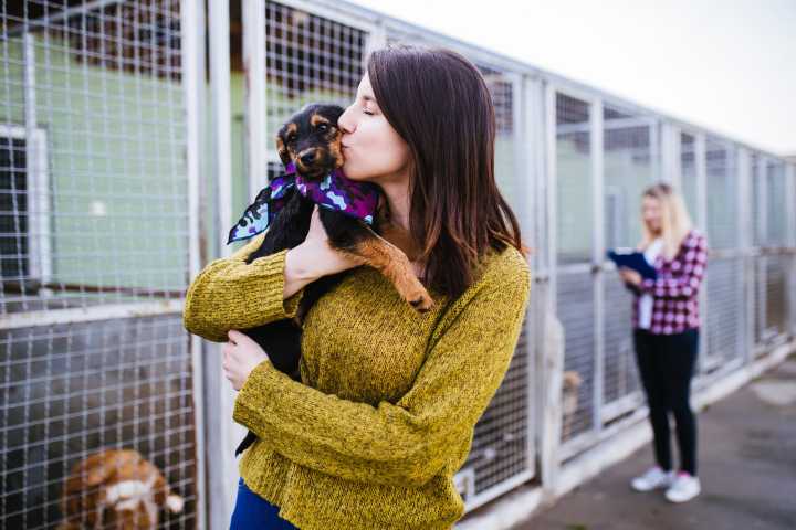 LA Shelters Waive Rescue Fees Saturday for Adopt