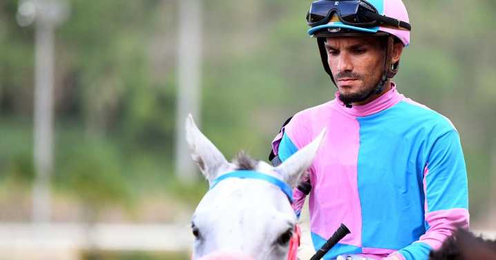Importados tresañeros en la séptima carrera