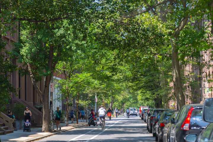 Friends of Pine and Spruce sues Philly over bike lanes
