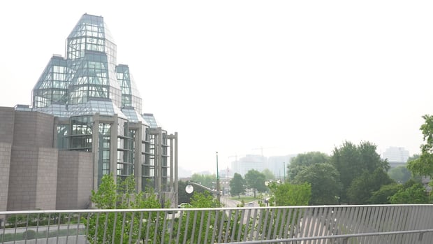 Poor air quality, moderate risk level still affecting Ottawa