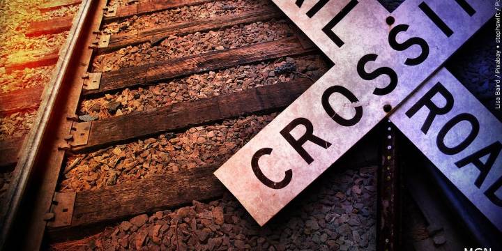 Man killed by train in Wood River