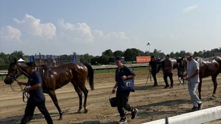 Therapeutic Horses of Saratoga talks benefitting horses and humans through equine therapy