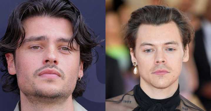 Ginny & Georgia fans just realised Felix Mallard ‘played’ Harry Styles in little