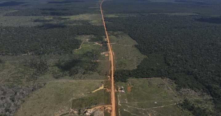 As U.N. climate talks loom, in May Brazil's Amazon forest loses an area larger than NYC