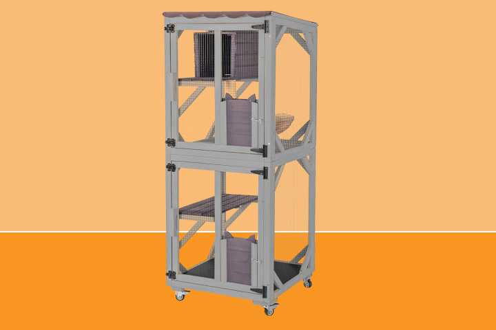 Cats Are ‘Obsessed’ with This Spacious Catio That’s on Sale