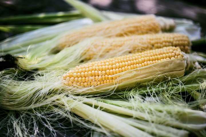 Harness the best of summer's fresh produce in this lush corn and squash chowder