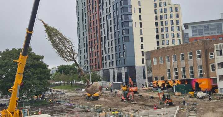 Plymouth council will have to rebuild public confidence after 'incredibly high handed behaviour'