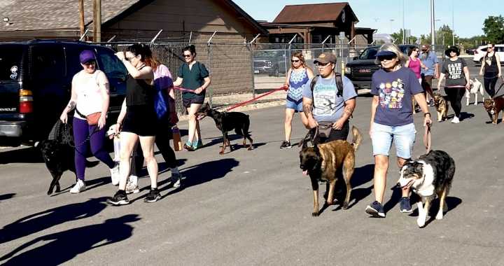 Dogs invited to all 'Bark in the Park' events