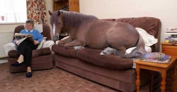 85 Images That Might Make You Uncomfortable For No Apparent Reason (New Pics)