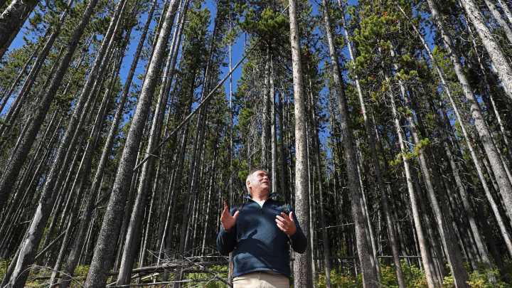 As Trump comes after research, Forest Service scientists keep working