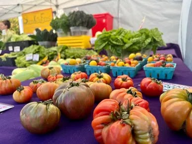 Shoreline Farmers Market opens Saturday June 7, 2025