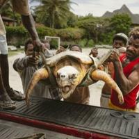 Kenya NGO saves turtles from nets, plastic and rising tides