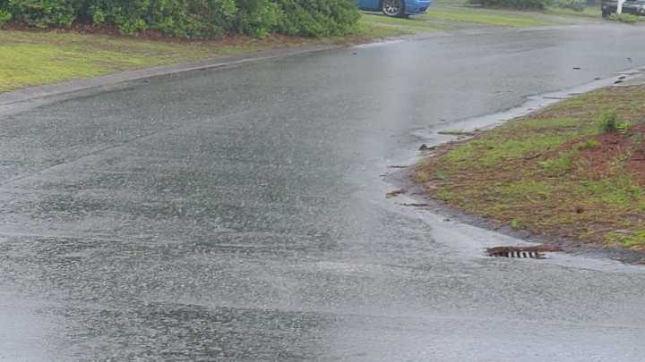 See heavy rainfall in Wilmington from low pressure system