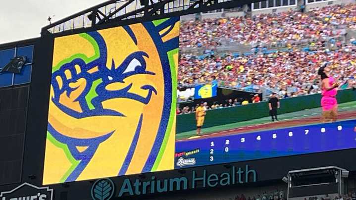 Savannah Bananas captivate sold-out Bank of America Stadium with unique twist on baseball