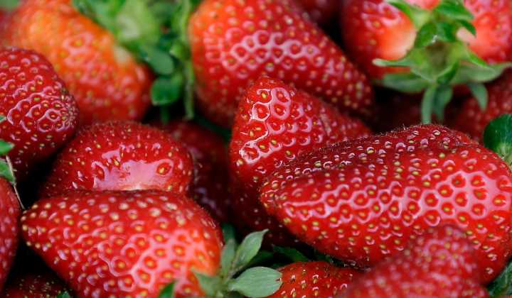 Coatesville Strawberry Festival to return after hiatus