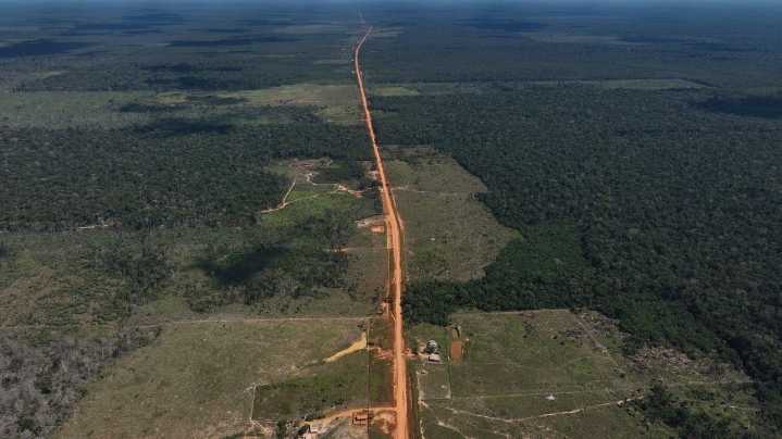As UN climate talks loom, Brazil's Amazon forest loses in May an area larger than NYC
