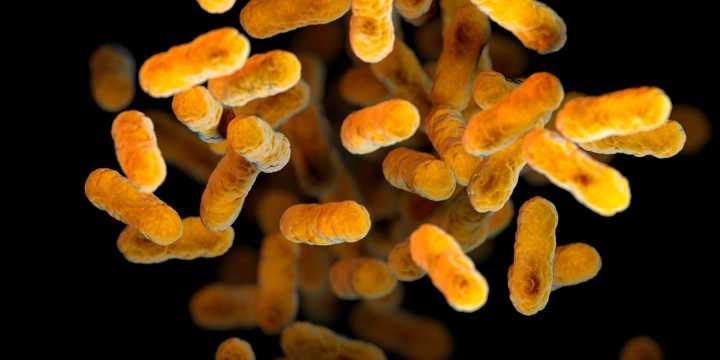 2 infants dead from whooping cough within last 6 months