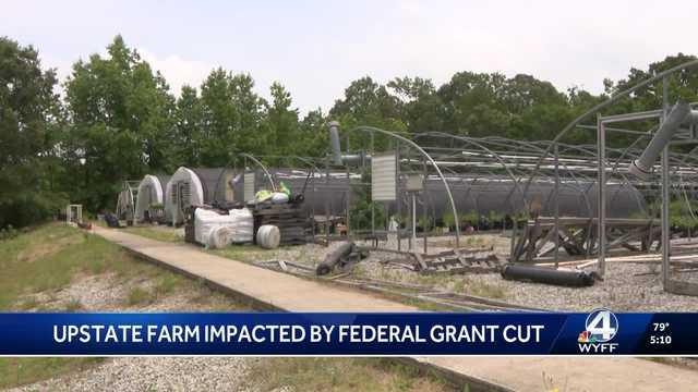 SC: Upstate farmer says he's at a great loss after federal grant cut