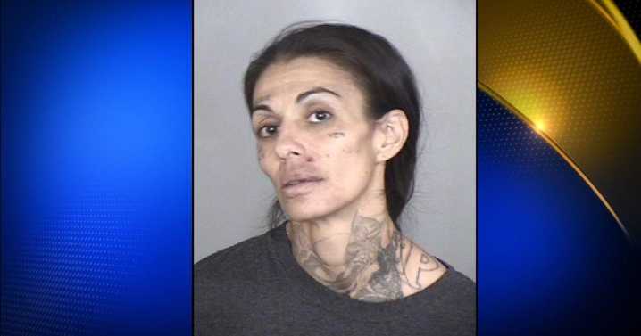 Woman receives life sentence for trying to run down a Chico police officer