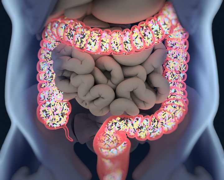 Fecal Microbiome Metabolites Foretell ICU Mortality
