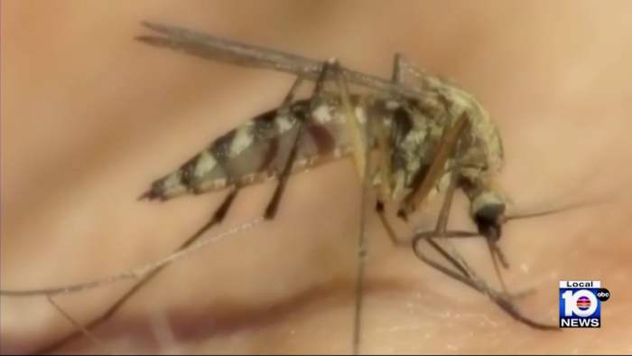 Experts warn to protect yourself against mosquitoes