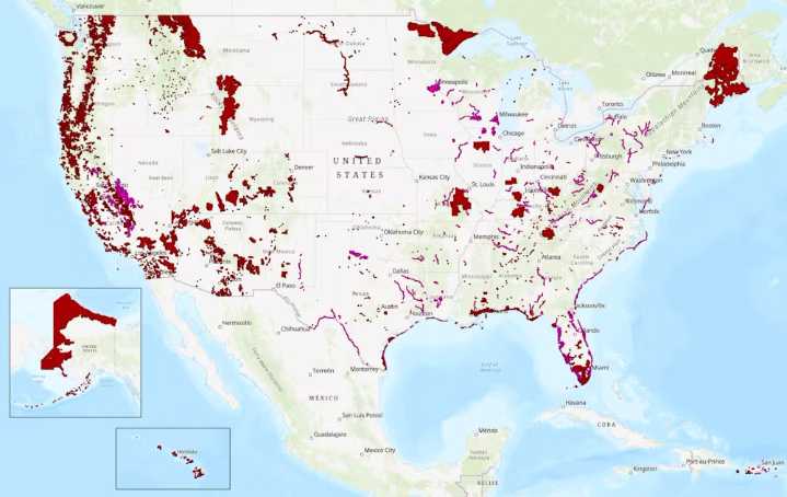 How Redefining Just One Word Could Strip The Endangered Species Act’s Ability To Protect Vital Habitat